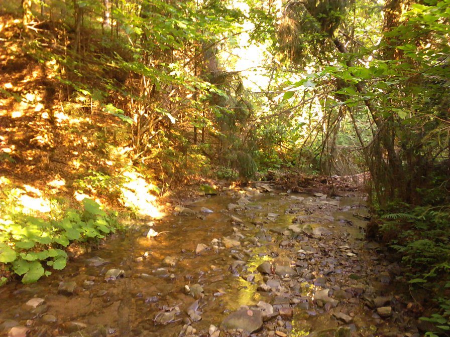 Карпаты1 - оригинал