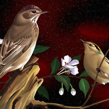 Схема вышивки «082»