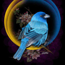 Схема вышивки «089»