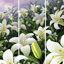 Схема вышивки «лілії»