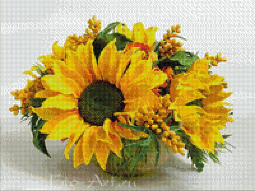 подсолнухи кирова - предпросмотр