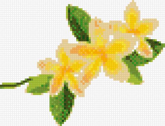 цветок - цветок - предпросмотр