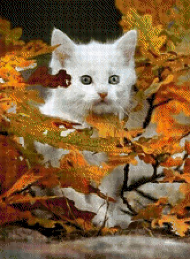 котенок - кошки - предпросмотр