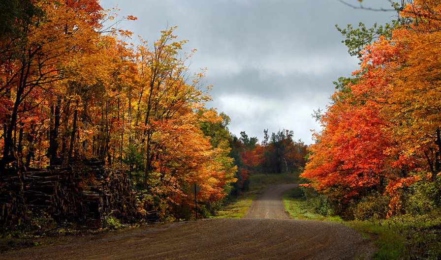 осень - природа - оригинал