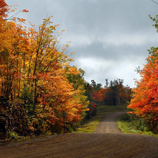 Схема вышивки «осень»