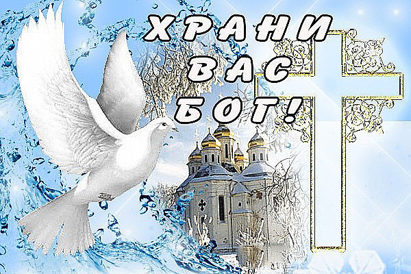 голубь - оригинал