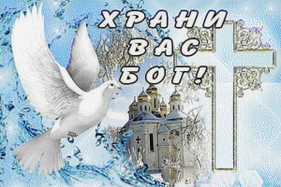 голубь - предпросмотр