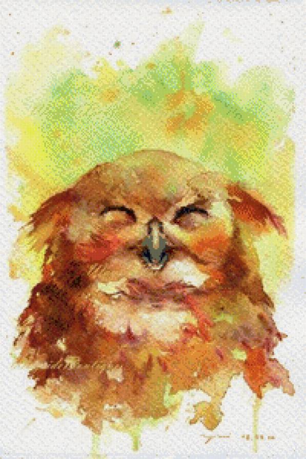 Cовушка - радость, совы, красивые, милые - предпросмотр