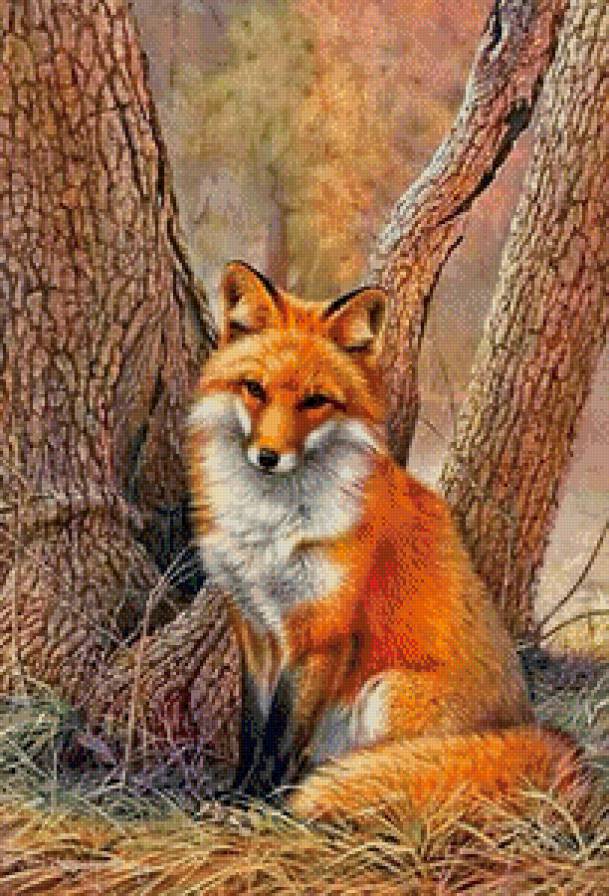 Лисичка - животные, рыжий, лиса - предпросмотр