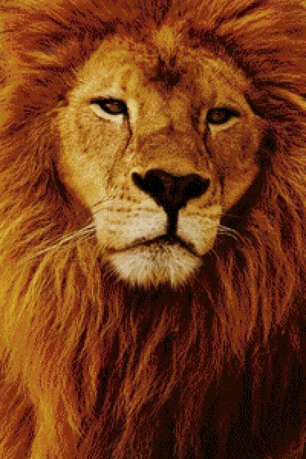 Лев - лев, животные - предпросмотр