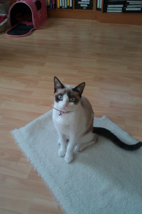 nena - оригинал