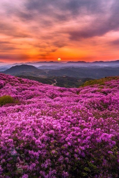 Пейзаж - природа, закат, пейзаж - оригинал