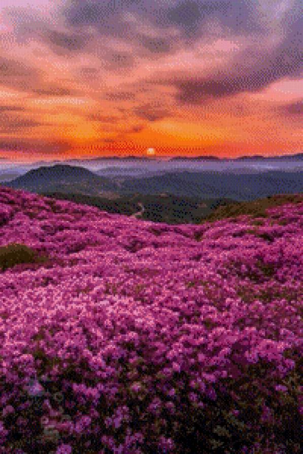 Пейзаж - закат, пейзаж, природа - предпросмотр