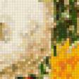 Предпросмотр схемы вышивки «хризантемы» (№1020657)