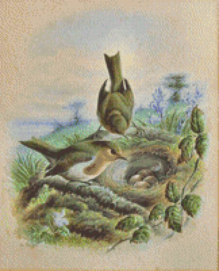 птички - птицы - предпросмотр