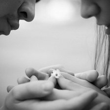 Схема вышивки «Нежность»