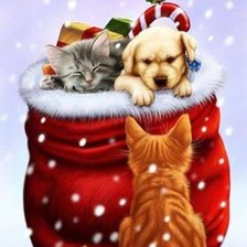 Схема вышивки «saco con ...»