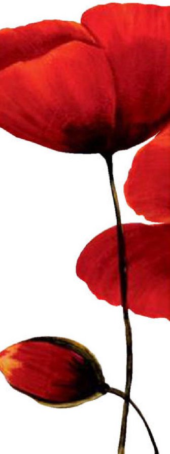 маки часть 1 - оригинал