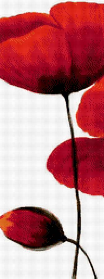 маки часть 1 - предпросмотр