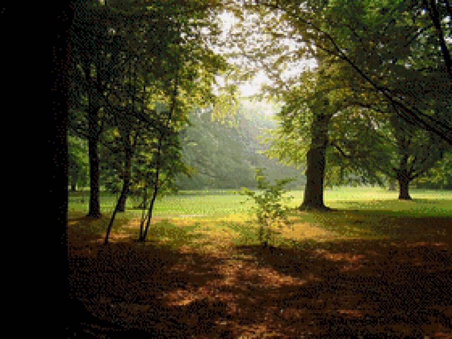 НА СОЛНЕЧНОЙ ПОЛЯНОЧКЕ - солнце, лес - предпросмотр