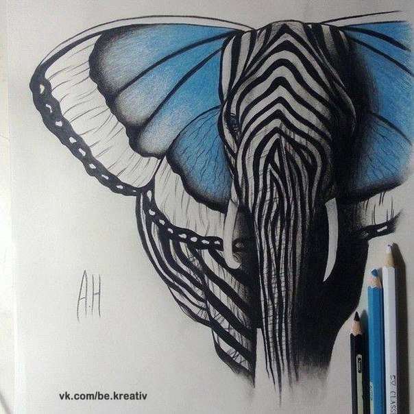 слон - слон - оригинал