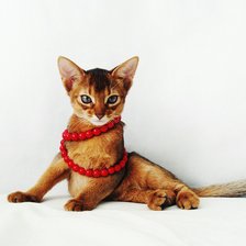 Оригинал схемы вышивки «Абиссинка» (№1021338)