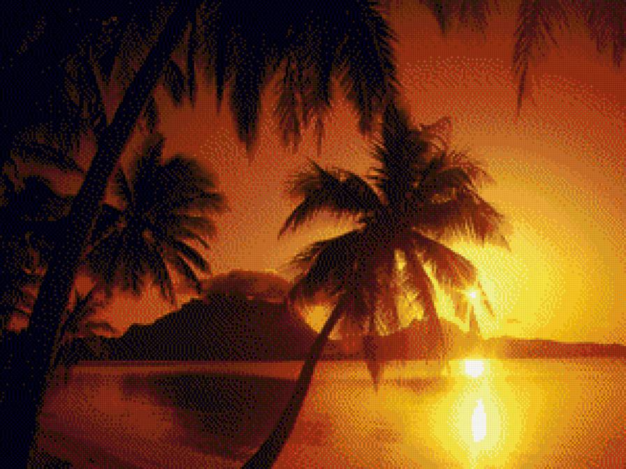 Захід сонця.Пальми - предпросмотр