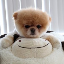 Схема вышивки «бу»