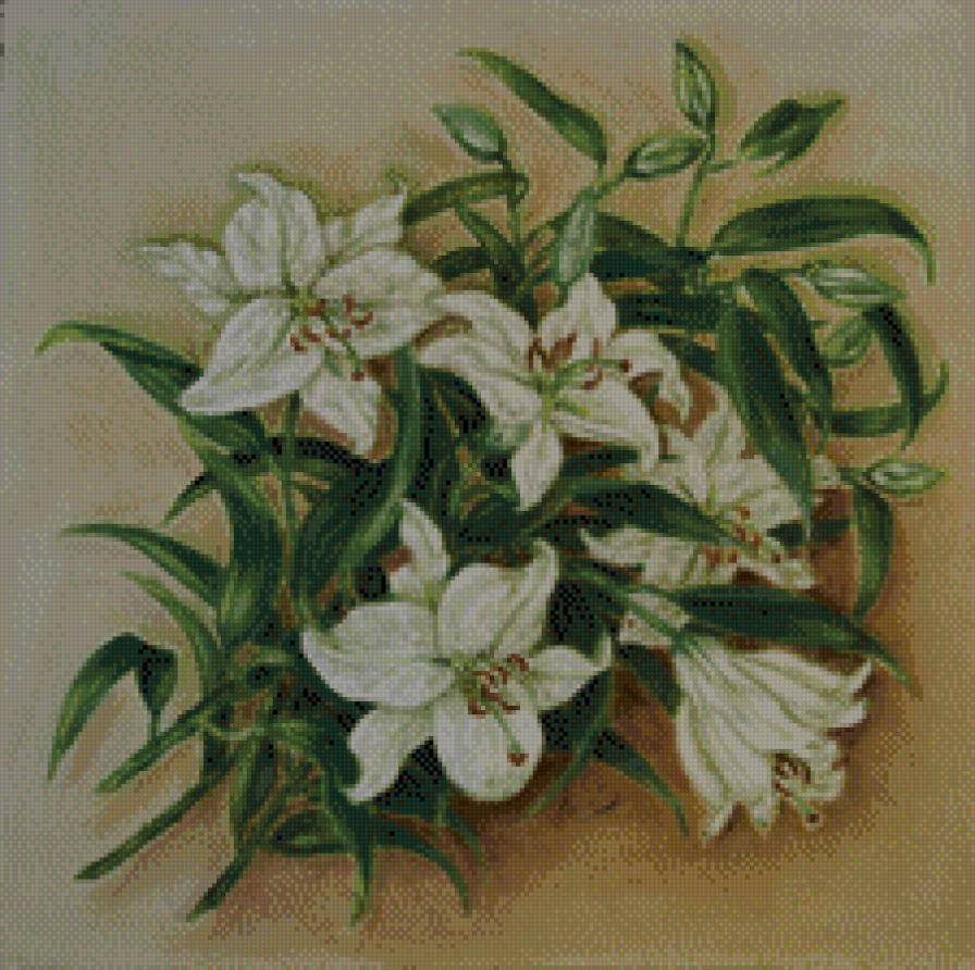 лилии - цветы - предпросмотр