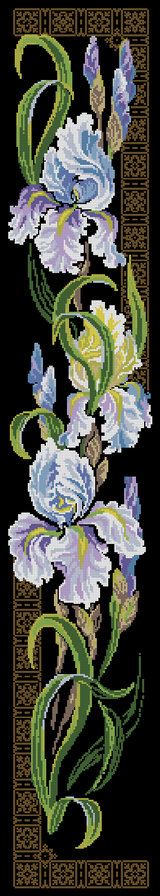 ирисы - оригинал