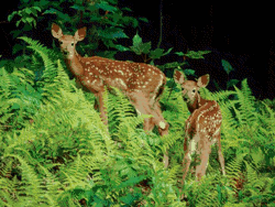 Оленята в папоротниках - олени, олененок, животные - предпросмотр