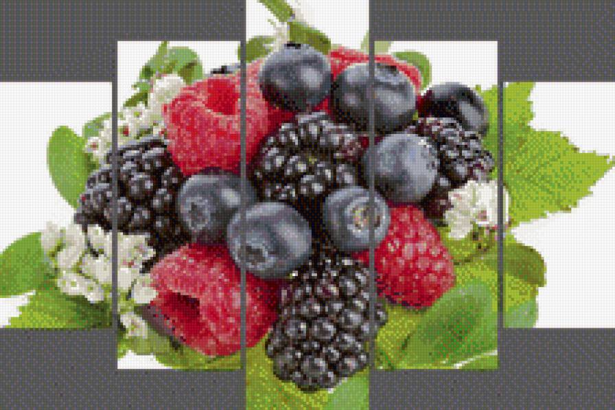 лесные ягоды - предпросмотр