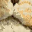 Предпросмотр схемы вышивки «№1022274»