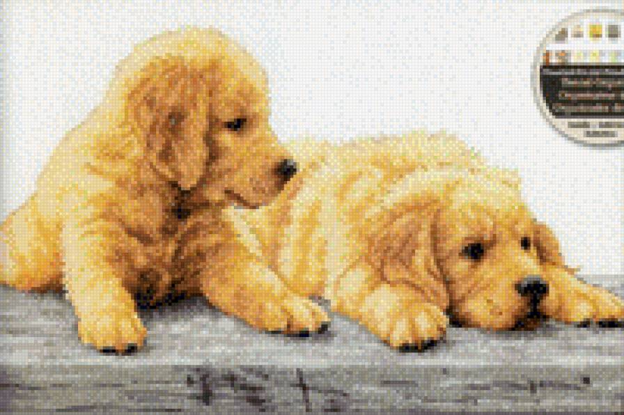 №1022283 - предпросмотр