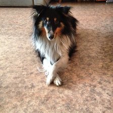 Схема вышивки «1»