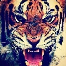 Схема вышивки «№1022615»