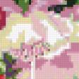 Предпросмотр схемы вышивки «фуксия» (№1022825)