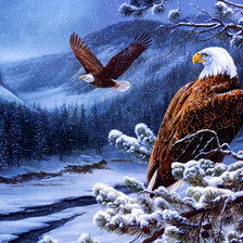 горные орлы