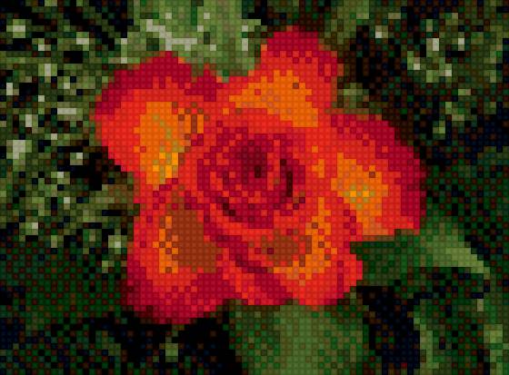 цветок - предпросмотр