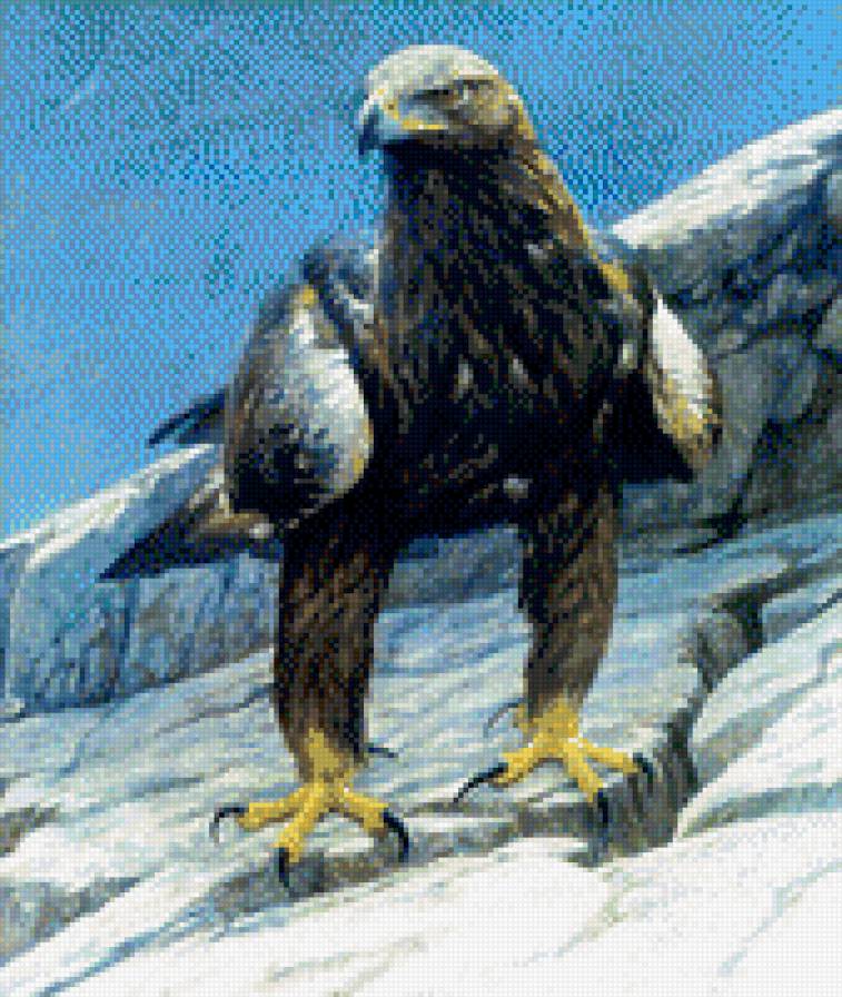 0231 - картина, птицы, природа, красота живопись, орел - предпросмотр