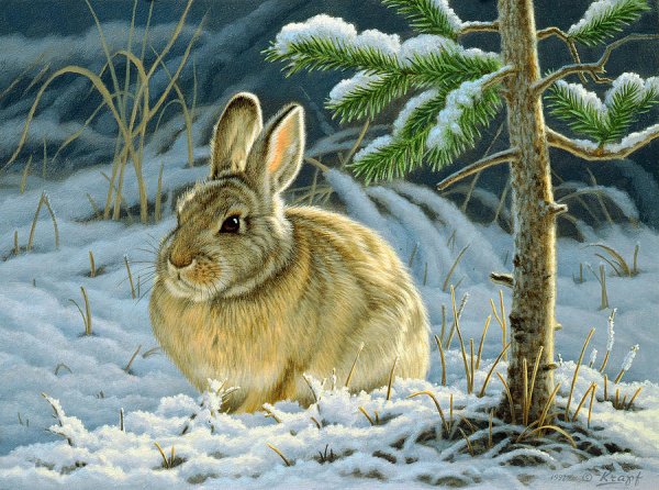 0235 - зима, животные, живопись, заяц, картина, красота, природа - оригинал