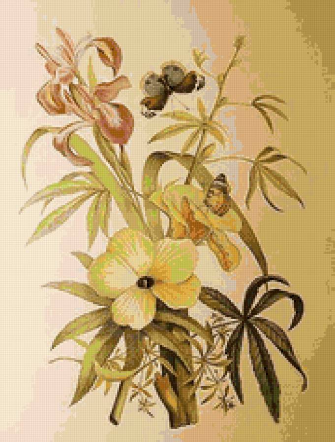 В цветах Юлии Кудряшовой - цветы бабочки - предпросмотр