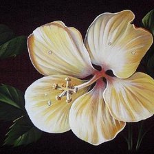 Схема вышивки «Ночная красавица Юлии Кудряшовой»