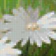 Предпросмотр схемы вышивки «Ромашковое поле Юлии Кудряшовой» (№1023542)