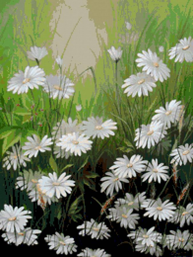 Ромашковое поле Юлии Кудряшовой - ромашки, цветы - предпросмотр