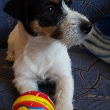 Схема вышивки «Биби с мячиком»