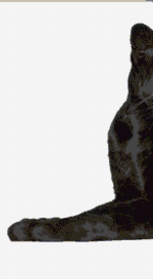 пантера часть 1 - предпросмотр