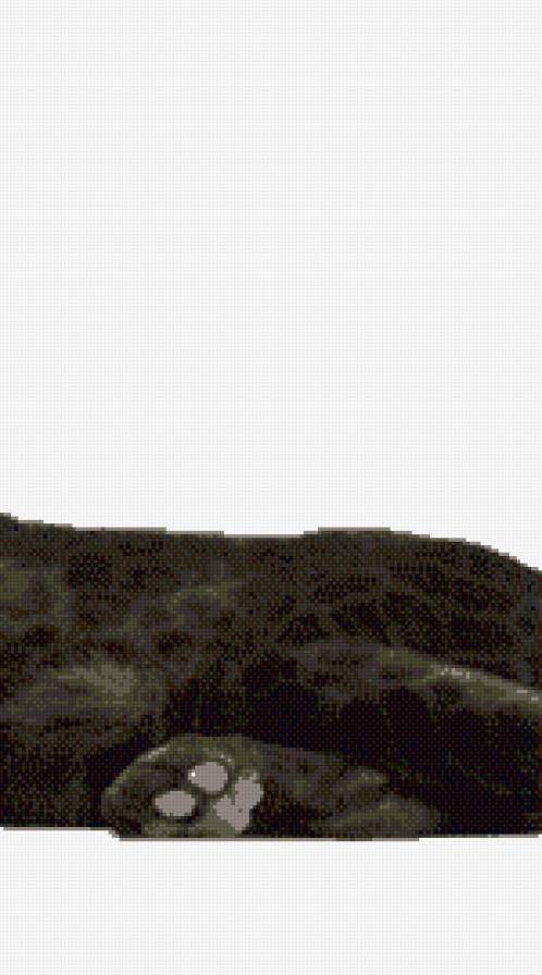 пантера часть 3 - предпросмотр