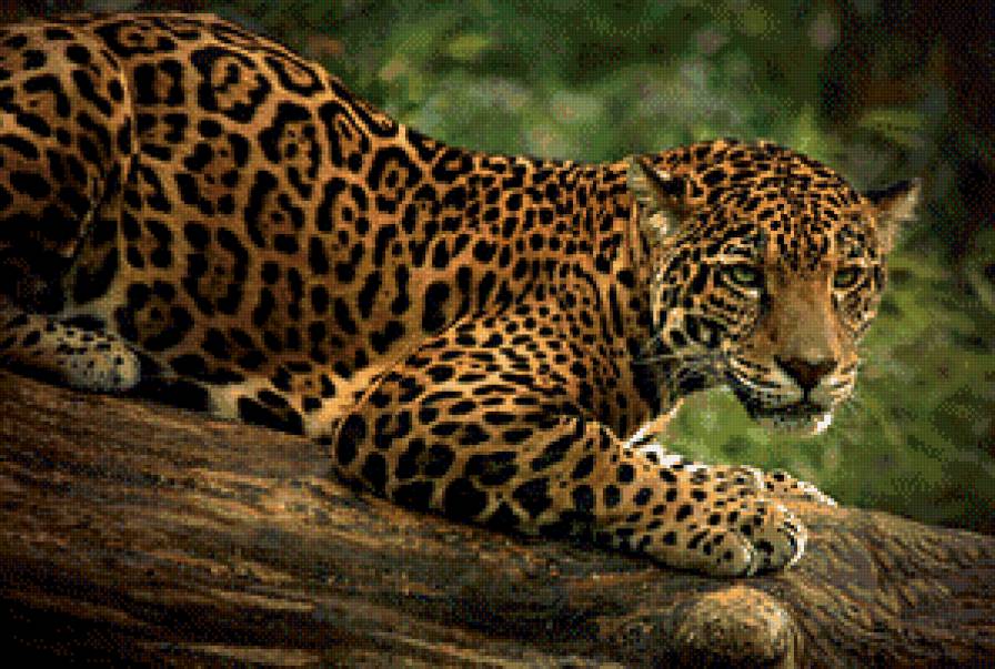 на охоте - животные - предпросмотр