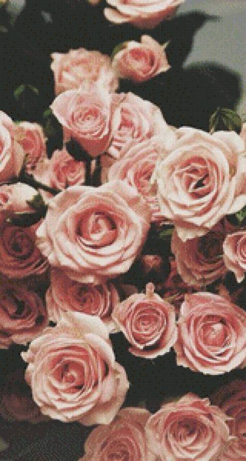 розы - большая картина, картина, много цветов, розы, на любителя, цветы - предпросмотр